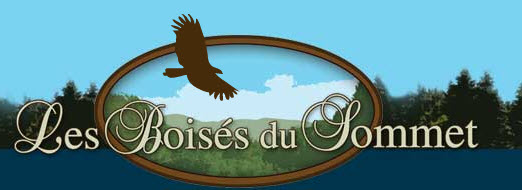 Saint-Sauveur &agrave; vendre