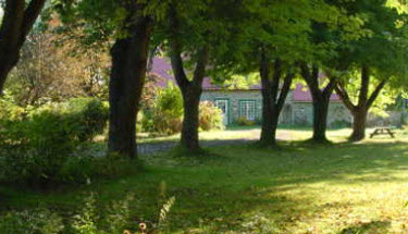 Comment planter des arbres