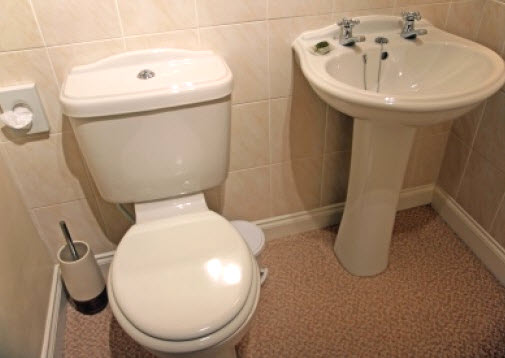 Débouchage de toilette avec écureur Débouchage de toilette avec écureur