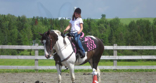 Cours d'équitation dans les Cantons de l'Est