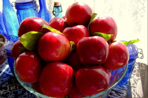 Prix d'un panier de pommes McIntosh Prix d'un panier de pommes McIntosh